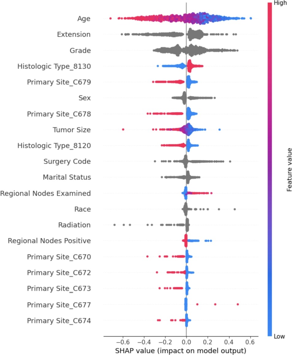 Fair and Explainable AI for Cancer Survival Prediction
